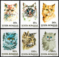 Romania 1993, Cats - 6 V. MNH - Chats Domestiques