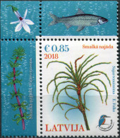 Latvia 2018. Delicate Naiad (Najas Tenuissima) (MNH OG) Stamp - Lettonia
