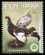 Latvia 2016. Aberrant Birds (MNH OG) Stamp - Lettonia