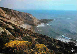 29 - Presqu'ile De Crozon - Morgat - Le Cap De La Chèvre - Flamme Postale - Flamme Postale - Voir Scans Recto Verso  - Crozon