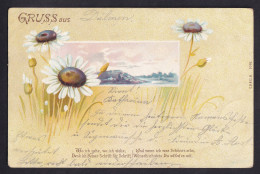 Gruss Aus ... / Wo Ich Gehe Wo Ich Stehe,... / Year 1899 / Long Line Postcard Circulated, 2 Scans - Greetings From...