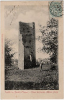 86. VOUILLE-LA-BATAILLE. Ruine De L'ancien Château Féodal. 716 - Vouille