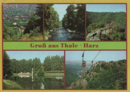 88950 - Thale - U.a. Rosstrappe - 1985 - Thale