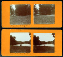 BRUXELLES. Bois De La Cambre. 4 Photographies Stéréo. Collées Sur Carton Fort (recto Verso. 8x17,5cm. - Forests, Parks