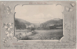 Passepartout-AK Waltershausen Bei Gotha, Blick Vom Tabarzer Weg 1905 - Waltershausen