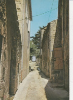 BONNIEUX RUE DE LA MAIRIE ESCALIERS MENANT AUX PENITENTS CPSM 10X15 TBE - Bonnieux