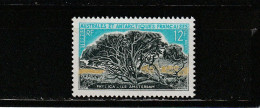 TAAF YT 29 ** : Phylica - 1969 - Unused Stamps