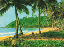 COTE D'IVOIRE - République De La Côte D'Ivoire - Région Ouest - Paysage De La Côte - Palmiers - Carte Postale - Elfenbeinküste