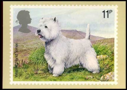 UK - Honden - MK -  - Maximumkaarten