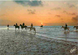 Animaux - Chevaux - Sur Les Cotes - Equitation Au Crépuscule - Promenade Equestre - Carte Neuve - CPM - Voir Scans Recto - Pferde