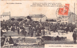 *48* - Lozère - Saint Chély D' Apcher - Le Champ De Foire - Saint Chely D'Apcher