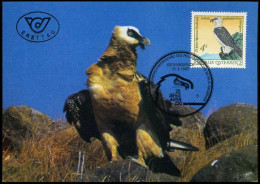 österreich - Maximum Card - Schützt Gefährdete Tiere - Águilas & Aves De Presa