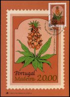 Portugal Madeira - Postcard  - Andere & Zonder Classificatie