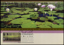 Australia - Maximum Card - Wetlands And Waterways - Cartas Máxima