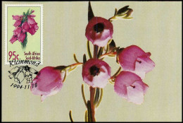 South Africa - Postcard - Flowers - Sonstige & Ohne Zuordnung