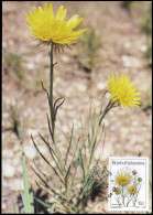 Bophuthatswana - Maximumcard - Flowers - Sonstige & Ohne Zuordnung