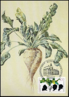 Bundespost - Maximumcard - Vegetables - Vegetazione