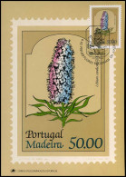 Portugal Madeira - Maximumcard - Flowers - Sonstige & Ohne Zuordnung