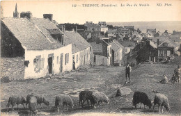 29-TREBOUL- LA RUE DU MOULIN - Tréboul