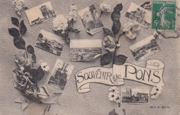 E10-17) PONS - SOUVENIR  - MULTIVUES  AVEC FLEURS  - Pons