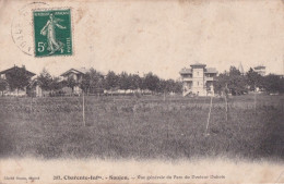 E18-17) SAUJON - VUE GENERALE  DU PARC DU DOCTEUR DUBOIS - EN 1909 - Saujon