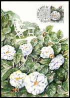 Zweden - Rozen - MK - - Maximum Cards & Covers