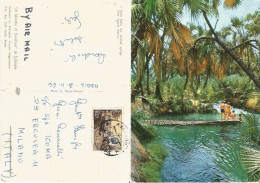 Ethiopia Palm Baths Hot Mineral Springs Awash Station Airmail Pcard 21nov1966 X Italy With 1 Stamp - Ethiopië