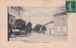 N16-47) CASTELJALOUX - LOT ET GARONNE - AVENUE CARCIN - Casteljaloux