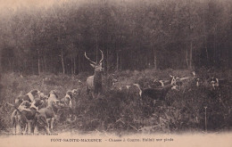 N19-60) PONT SAINTE MAXENCE - OISE - CHASSE A COURRE - HALLALI SUR PIEDS - ( 2 SCANS ) - Pont Sainte Maxence