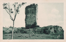 Z7-31) SALIES DU SALAT - HAUTE GARONNE - TOUR DU VIEUX CHATEAU - ( 2 SCANS ) - Salies-du-Salat