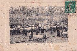 Z8-31) SALIES DU SALAT - MARCHE AUX BESTIAUX - EN 1910 - Salies-du-Salat