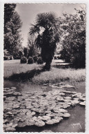 Z8-31) MURET- HAUTE GARONNE - JARDINS DES COMBATTANTS - RUISSEAU DES NENUPHARS - ( 2 SCANS )  - Muret