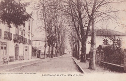 Z15-31) SALIES DU SALAT - ALLEE DE LA GARE - ( 2 SCANS ) - Salies-du-Salat