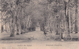 Z16-31) SALIES DU SALAT -  PROMENADE  D ' AUSTERLITZ - ANIMEE - HABITANTS - CYCLISTES - EN 1909 -  ( 2 SCANS ) - Salies-du-Salat