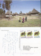 Ethiopia Village In South Of Debre Birhan Berhan Color Pcard To Suisse With 3 Stamps (2002) - Ethiopie