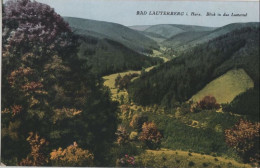 93987 - Bad Lauterberg - Blick In Das Luttertal - 1948 - Bad Lauterberg