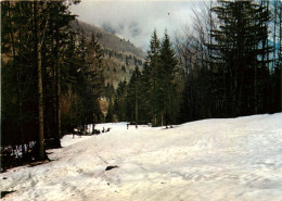 38 - Saint Hilaire Du Touvet - La Piste St-Michel - Hiver - Neige - CPM - Carte Neuve - Voir Scans Recto-Verso - Saint-Hilaire-du-Touvet