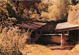 14 - Thury Harcourt - Le Vieux Lavoir - Carte Neuve - CPM - Voir Scans Recto-Verso - Thury Harcourt