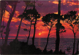 Coucher De Soleil - CPM - Voir Scans Recto-Verso - Controluce