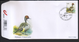 BUZIN / FDC / COB 4091 / CANARD PILET / PIJLSTAART - 1985-.. Oiseaux (Buzin)