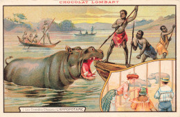 ANIMAUX & FAUNE - L'hippopotame - Les Grandes Chasses - Animé - Carte Postale Ancienne - Hippopotames