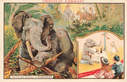 ANIMAUX & FAUNE - L'éléphant - Les Grandes Chasses - Animé - Carte Postale Ancienne - Elefanti