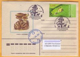 2024 2023 Moldova Special Postmark „World Day Of Natural Reservations” Fauna, Nature, Frog, Mushrooms - Moldavie