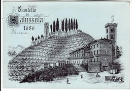 ETICHETTA LABEL VINO CASTELLO DI SALUSSOLA BIELLA - Other & Unclassified