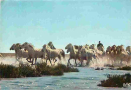 Animaux - Chevaux - Camargue - Les Chevaux Camarguais - Flamme Postale - CPM - Voir Scans Recto-Verso - Pferde