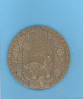 MÉDAILLE - (BANQUE) CRÉDIT AGRICOLE MUTUEL -BRONZE -80mm -305 Gr - GRAVEUR :BARON - Professionals/Firms