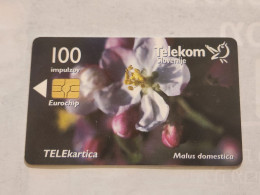 SLOVENIA-(SI-TLS-0212B)-Jablana-Malus Dome-(8)(100units)(not Number)(6/1999)(tirage-9.990)-used Card+1card,prepiad - Slovenië