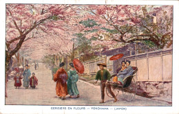 YOKOHAMA / CERISIERS EN FLEURS - Yokohama