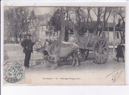 RIBERAC: Attelage Périgourdin - Très Bon état - Riberac