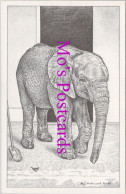 Animals Postcard - Baby Elephant. Artist H.J.Underwood   DZ35 - Elephants